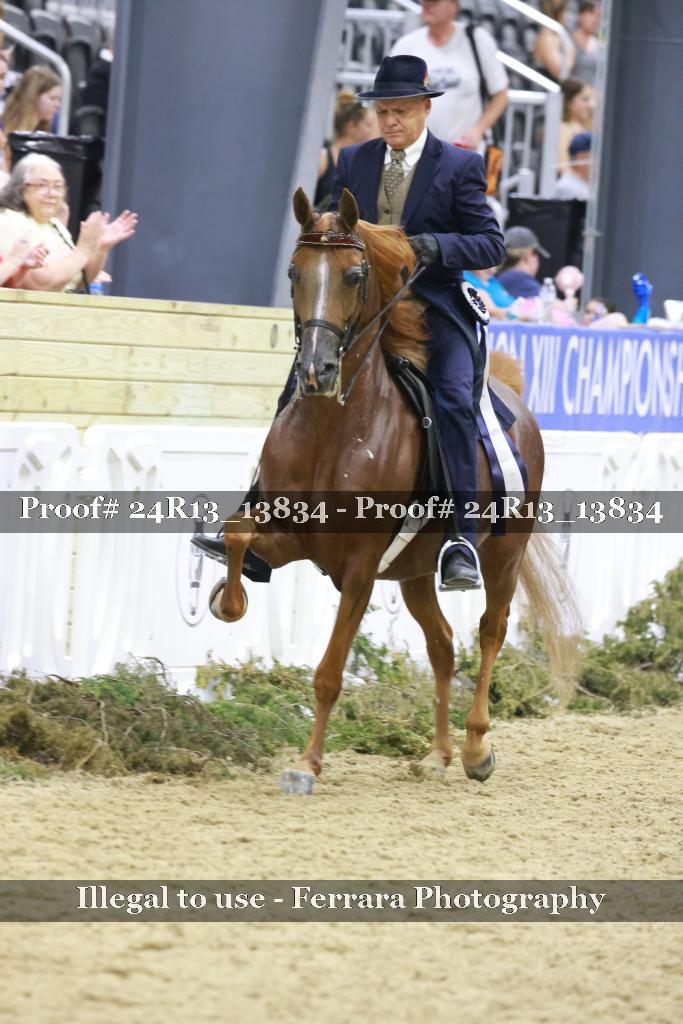 Proof Number 24R13_13834
