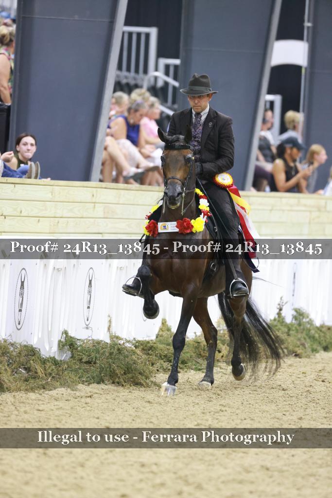 Proof Number 24R13_13845
