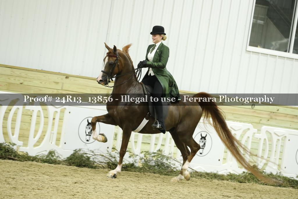Proof Number 24R13_13856