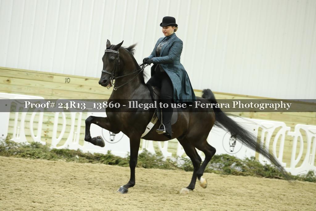 Proof Number 24R13_13860