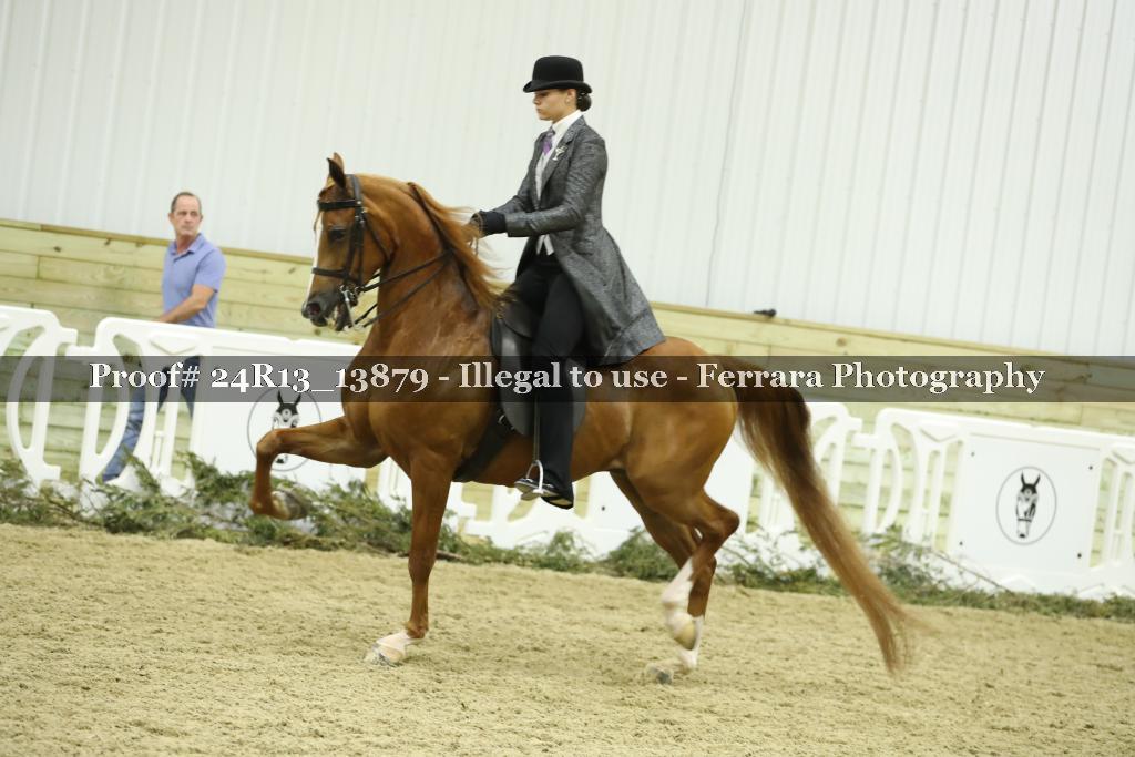 Proof Number 24R13_13879