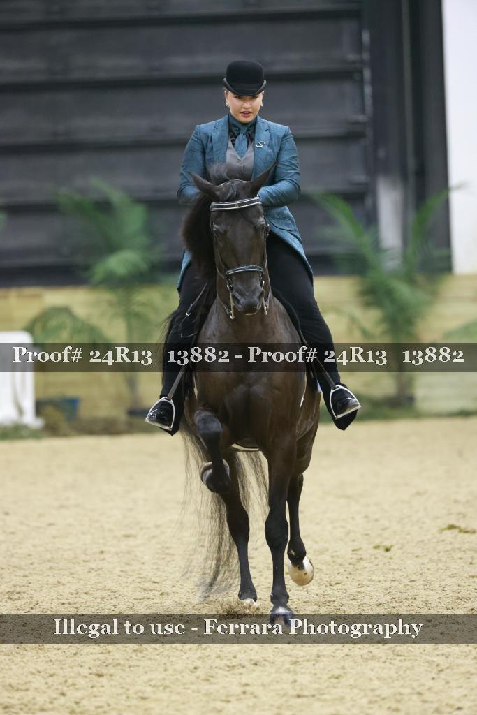 Proof Number 24R13_13882