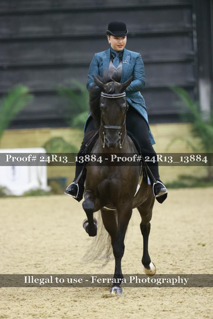 Proof Number 24R13_13884