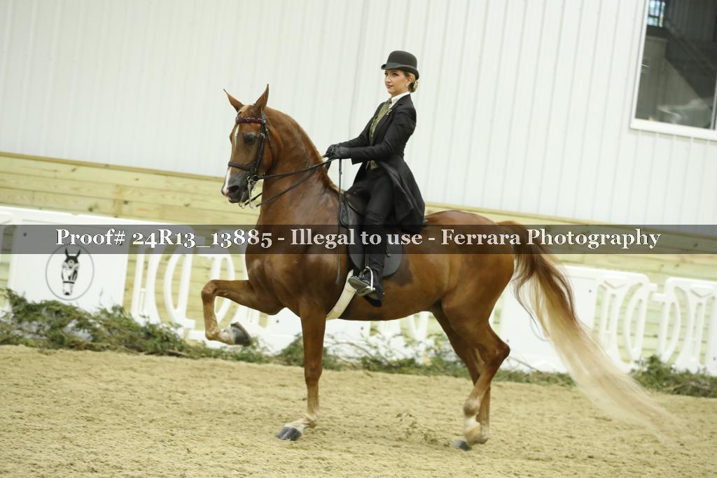 Proof Number 24R13_13885