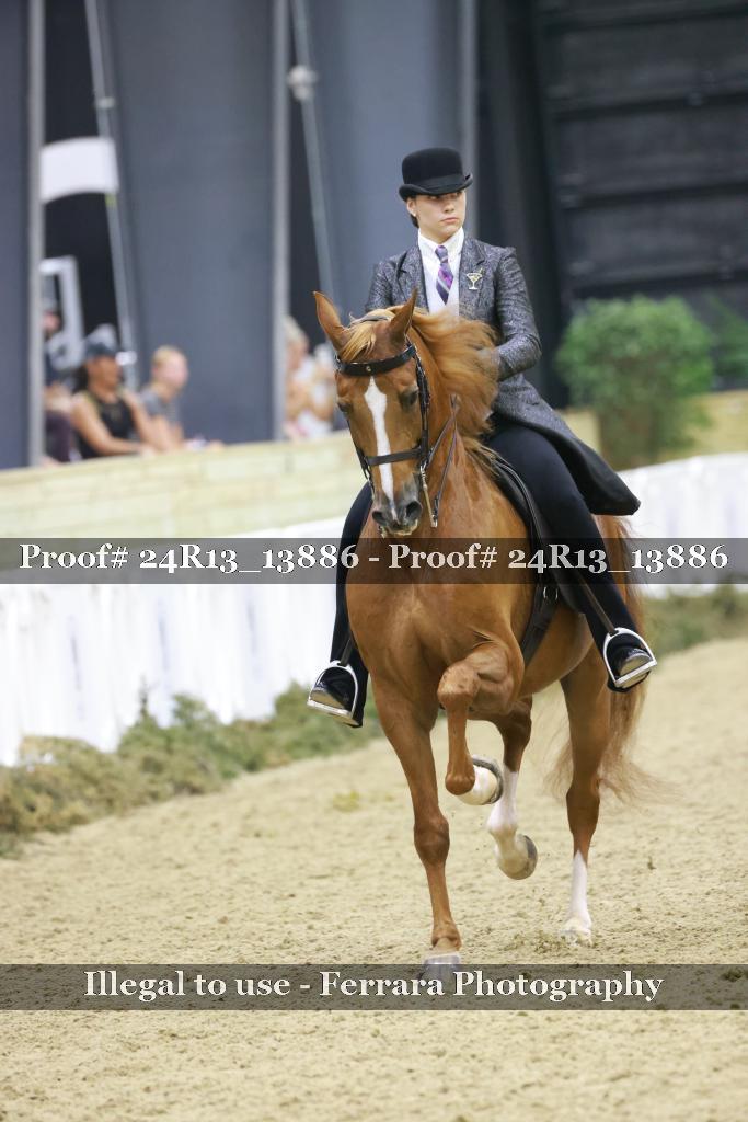 Proof Number 24R13_13886
