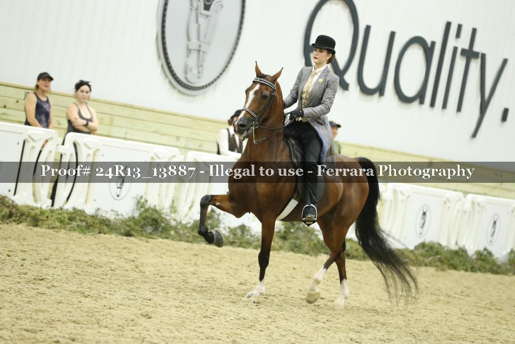 Proof Number 24R13_13887