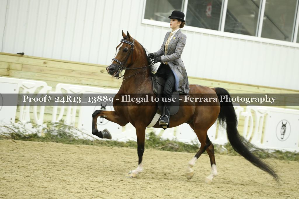 Proof Number 24R13_13889