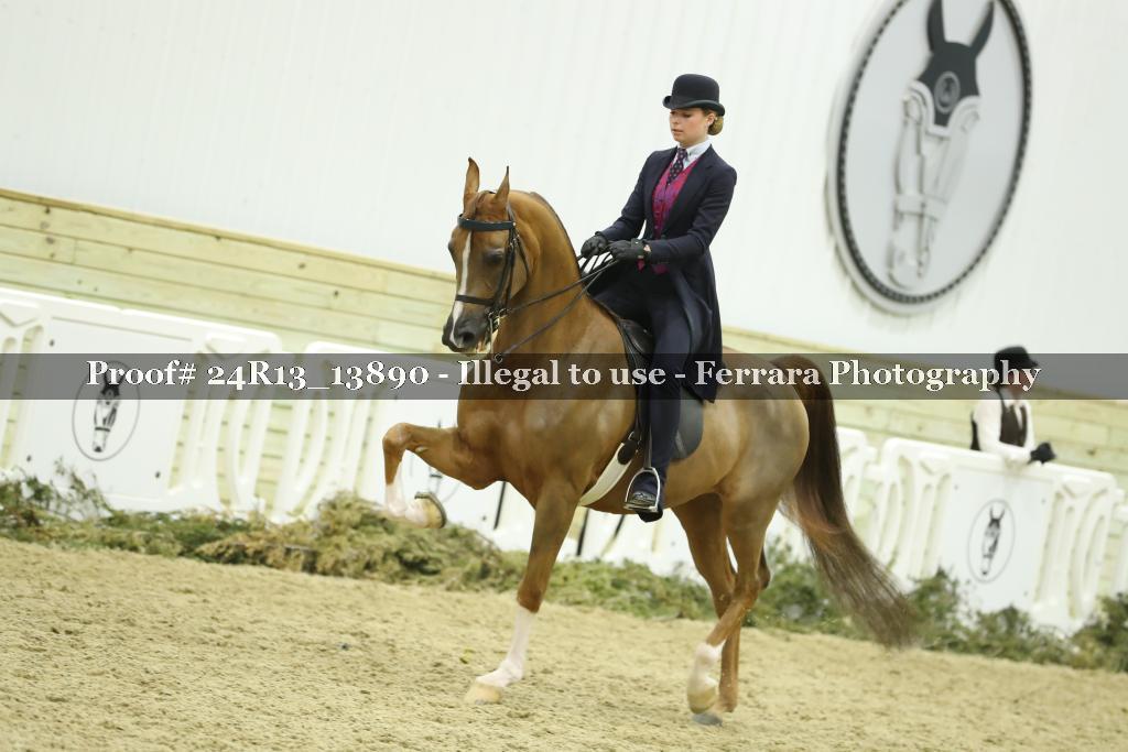 Proof Number 24R13_13890