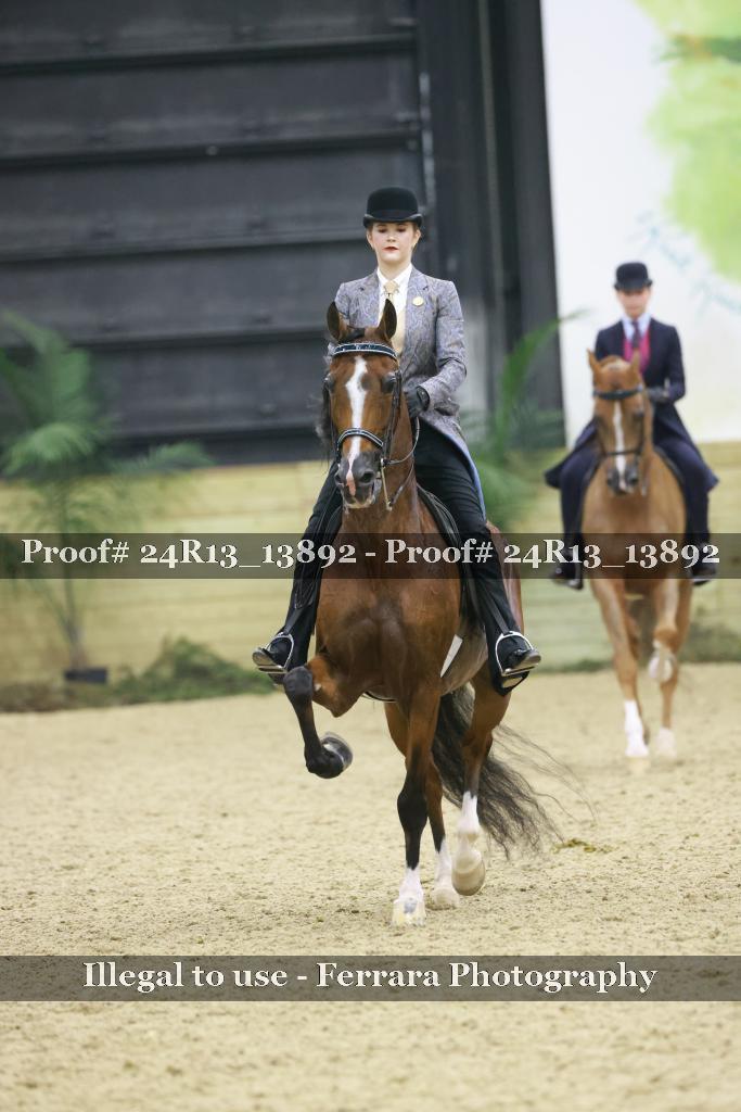 Proof Number 24R13_13892
