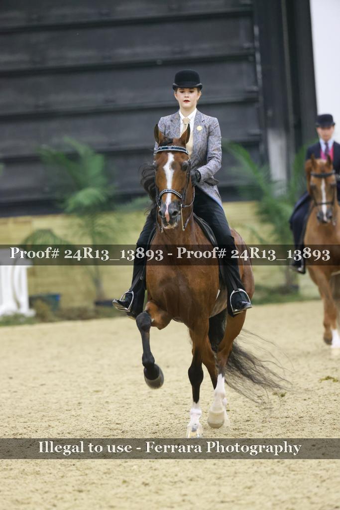 Proof Number 24R13_13893