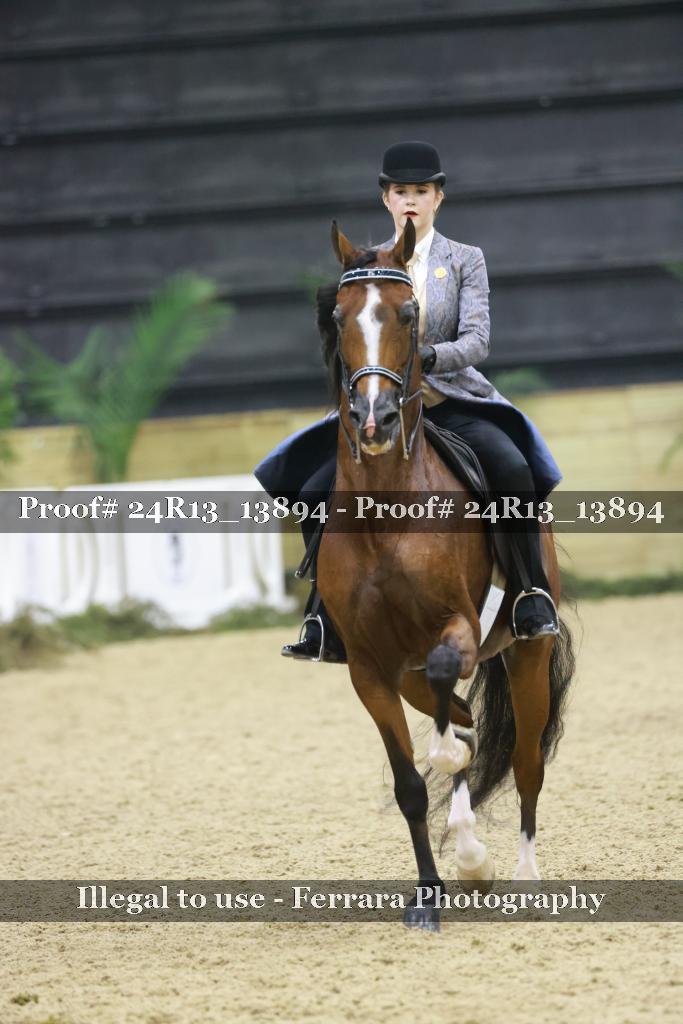 Proof Number 24R13_13894