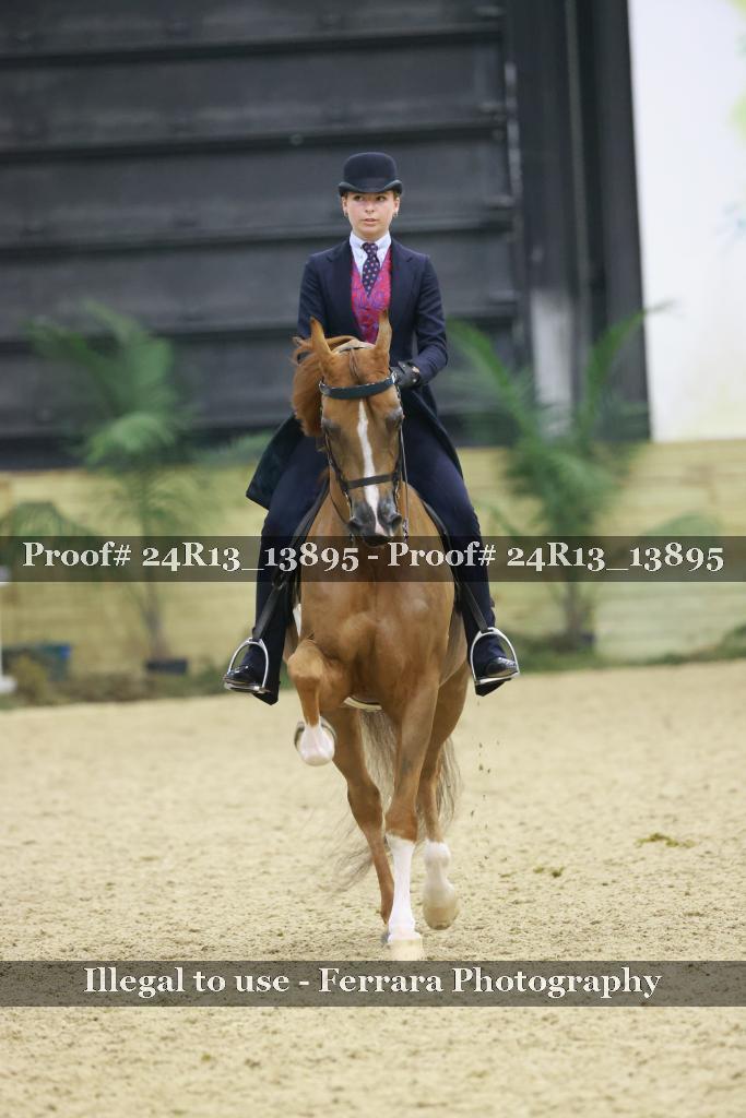Proof Number 24R13_13895