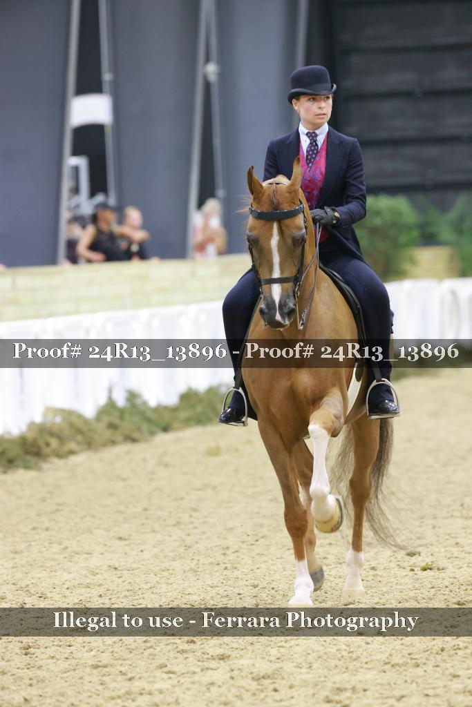 Proof Number 24R13_13896