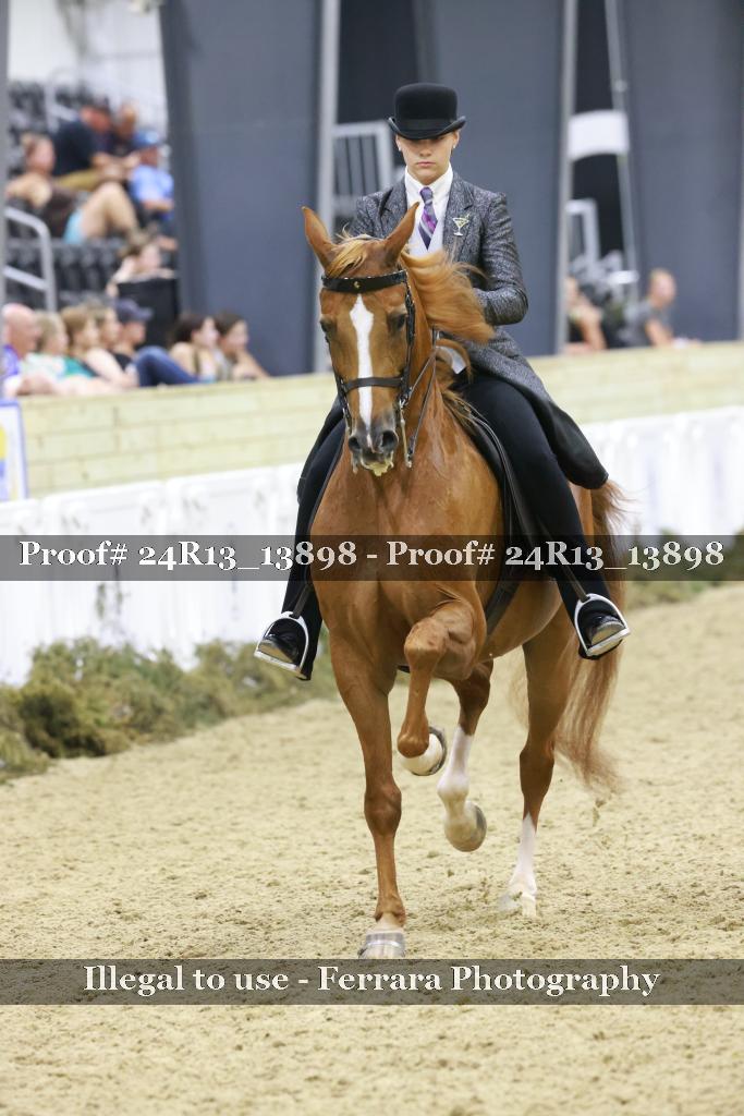 Proof Number 24R13_13898