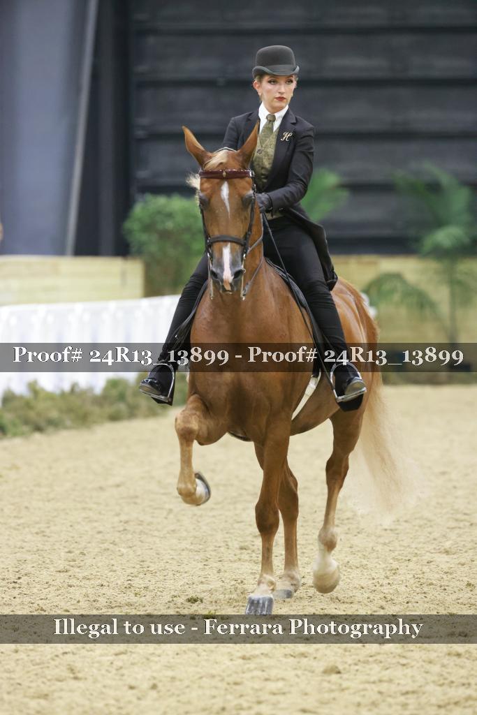 Proof Number 24R13_13899