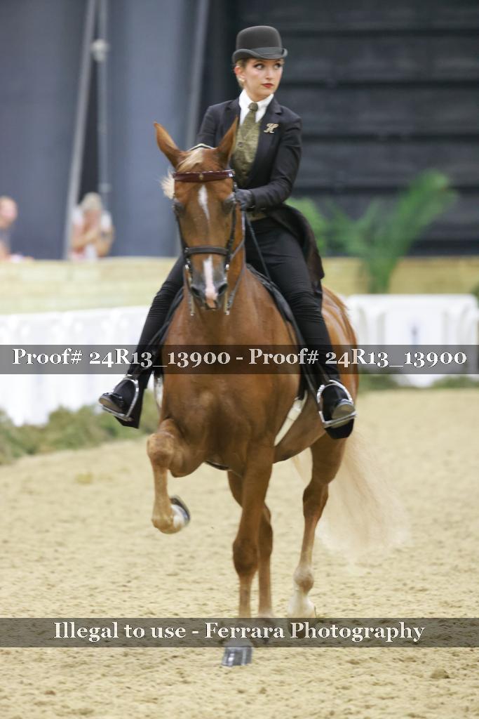 Proof Number 24R13_13900