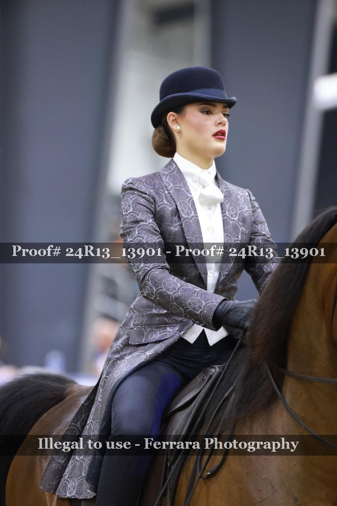 Proof Number 24R13_13901