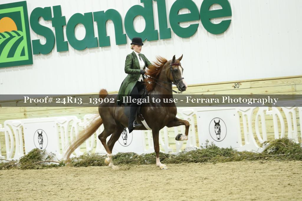 Proof Number 24R13_13902