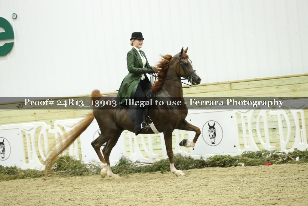 Proof Number 24R13_13903