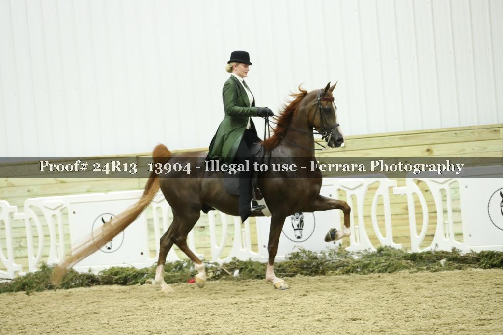 Proof Number 24R13_13904