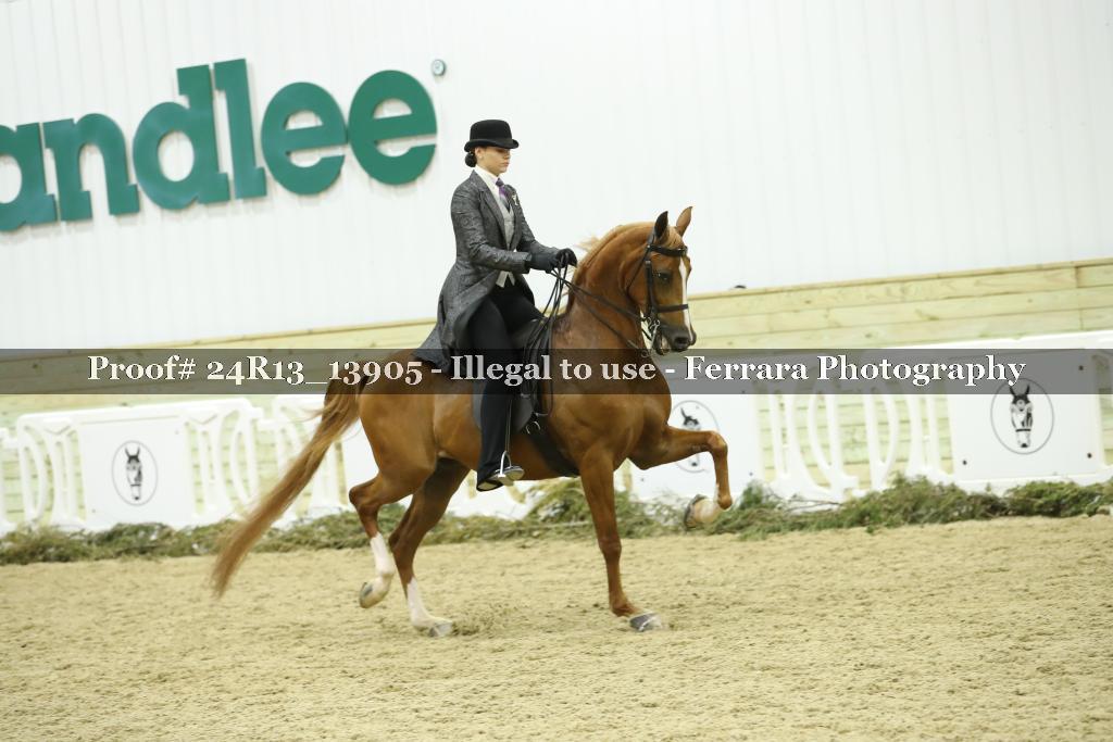 Proof Number 24R13_13905
