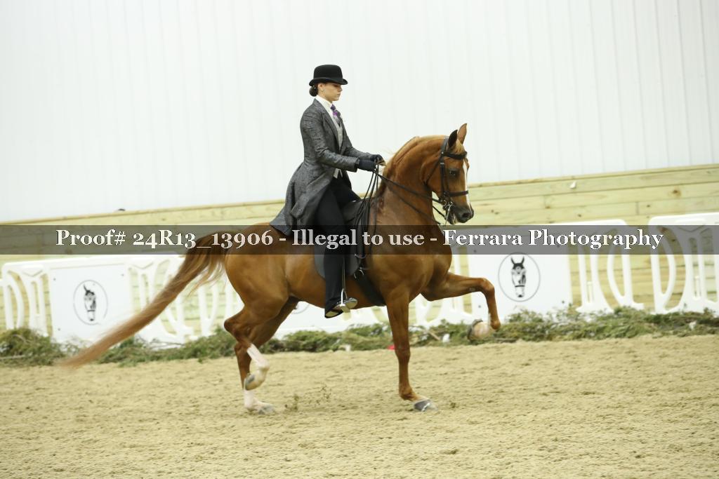 Proof Number 24R13_13906