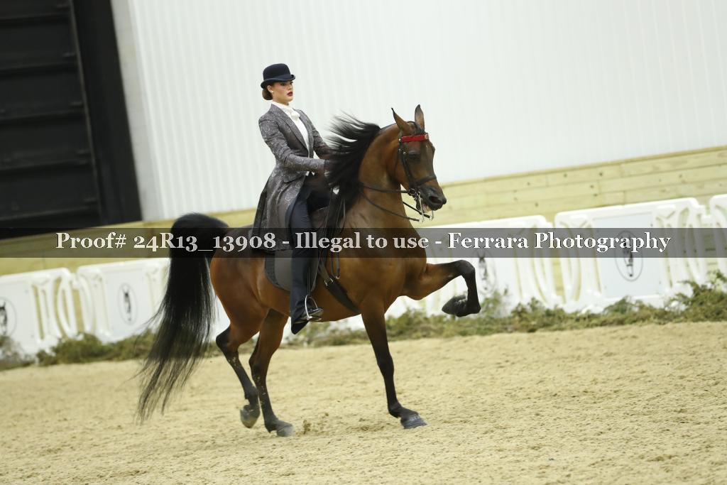 Proof Number 24R13_13908