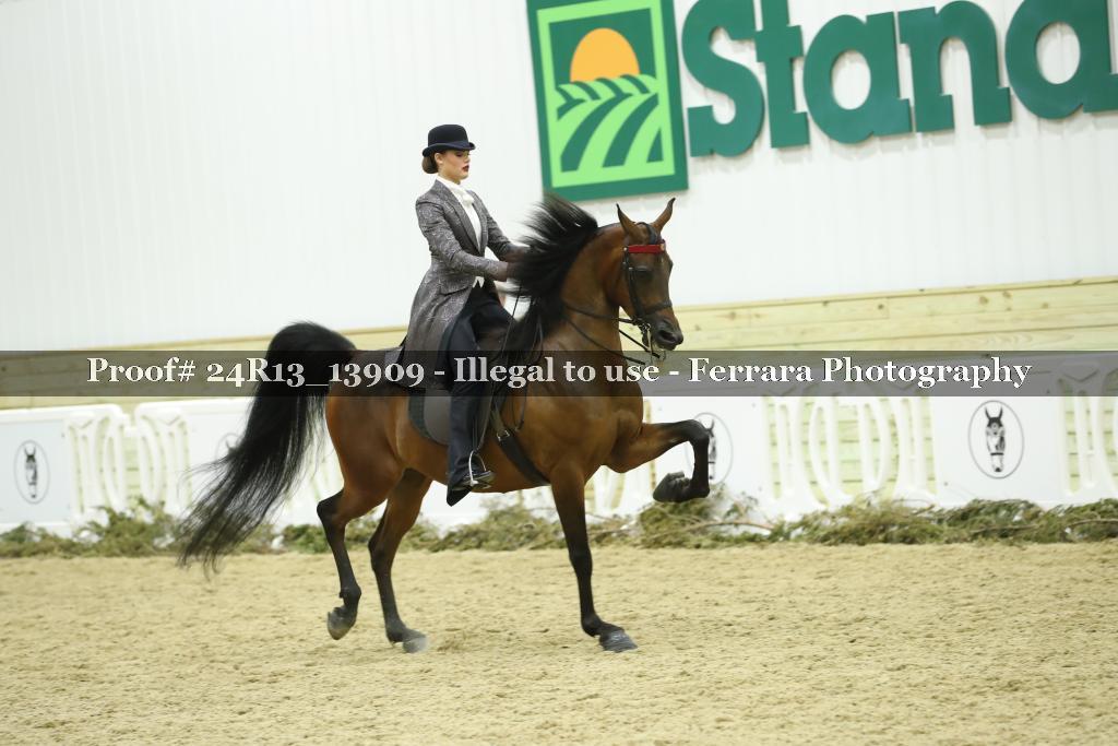 Proof Number 24R13_13909