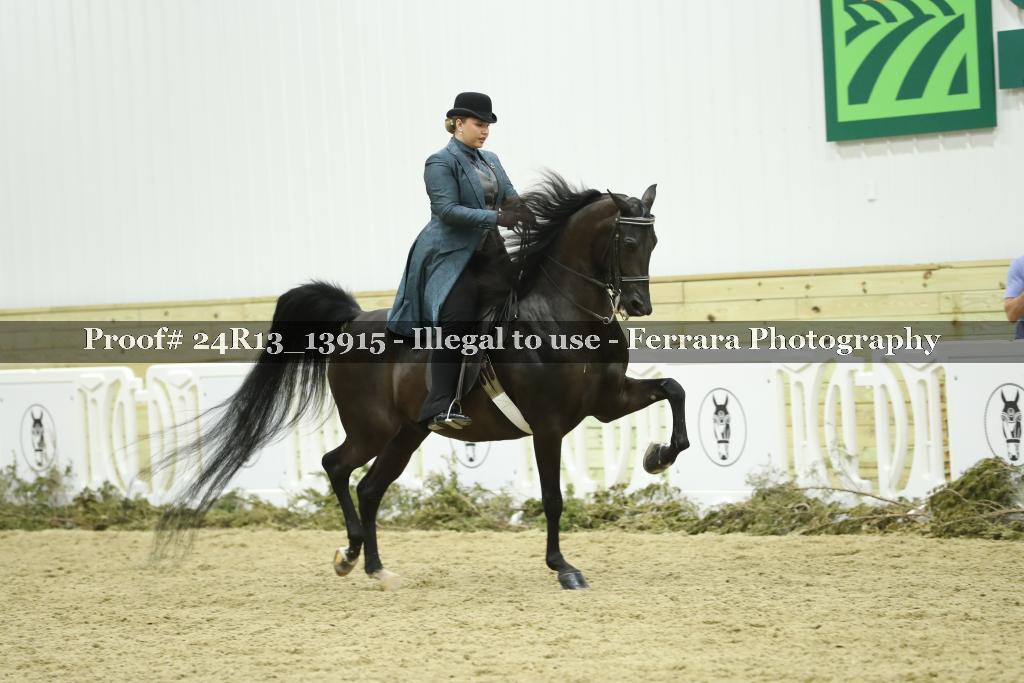 Proof Number 24R13_13915