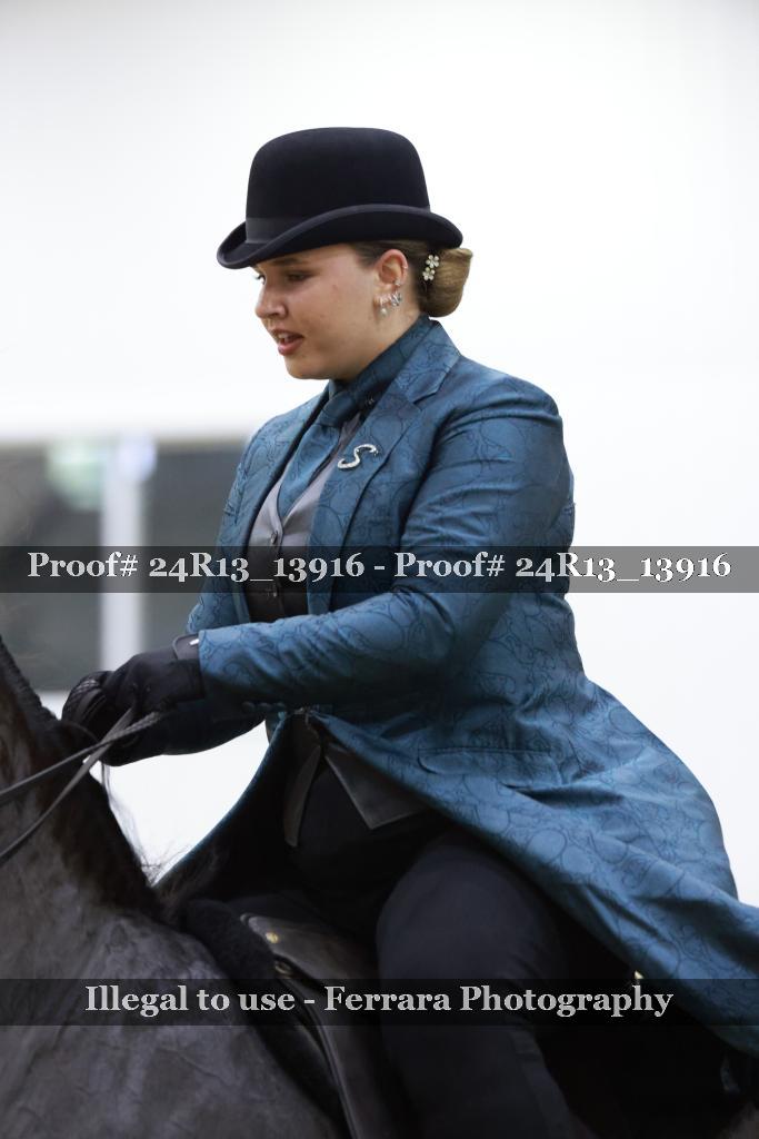 Proof Number 24R13_13916