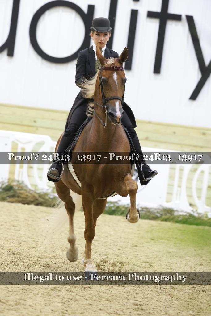 Proof Number 24R13_13917