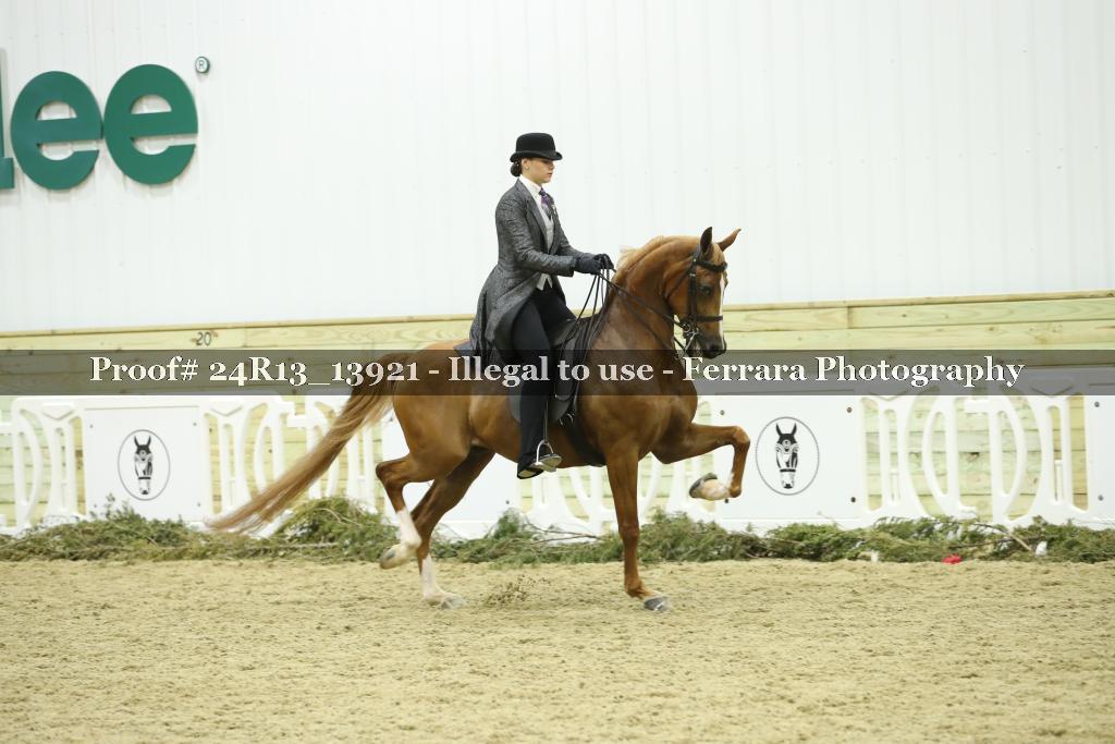 Proof Number 24R13_13921