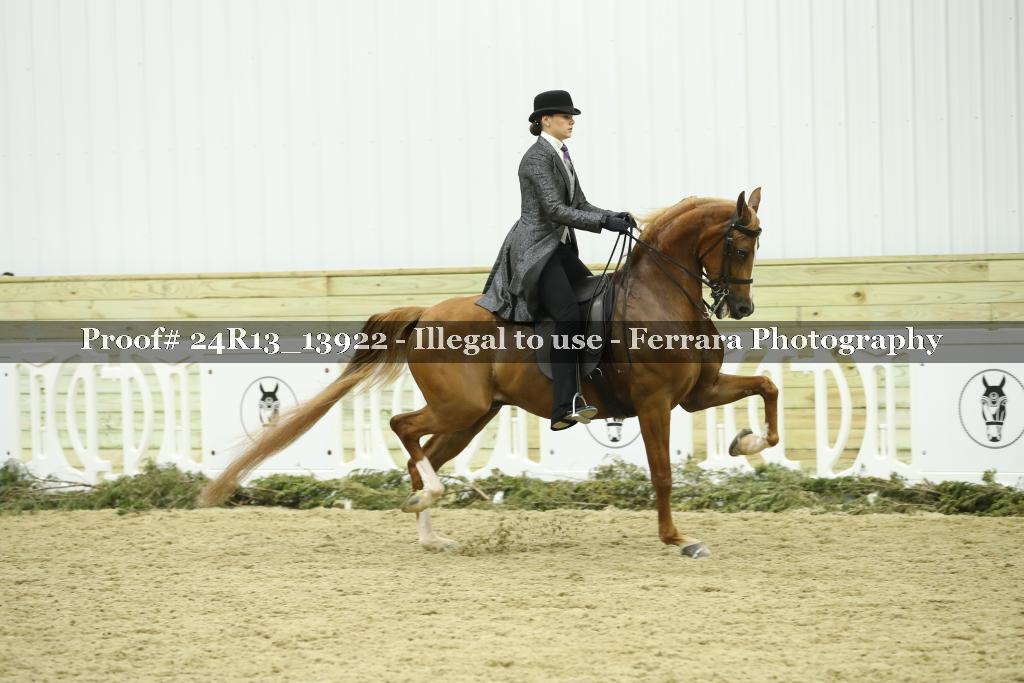 Proof Number 24R13_13922