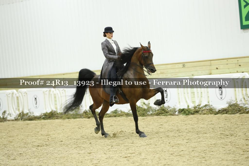 Proof Number 24R13_13923