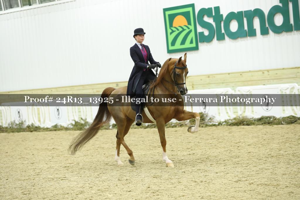 Proof Number 24R13_13925