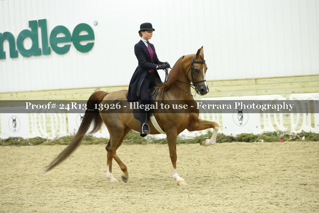 Proof Number 24R13_13926