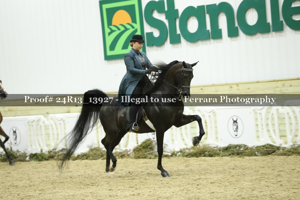 Proof Number 24R13_13927