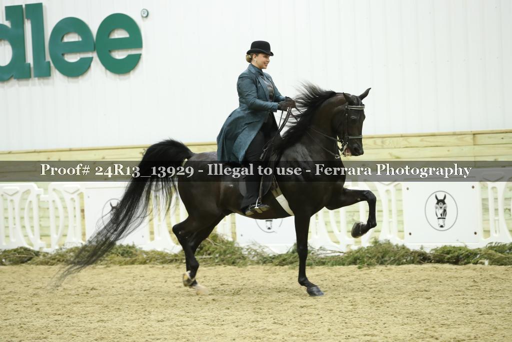 Proof Number 24R13_13929