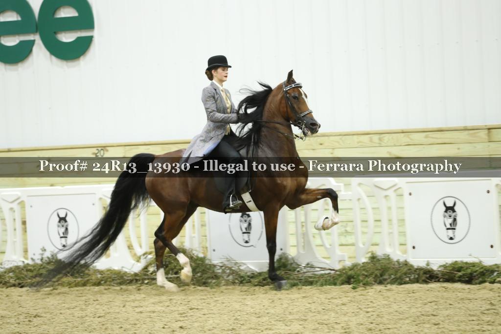 Proof Number 24R13_13930