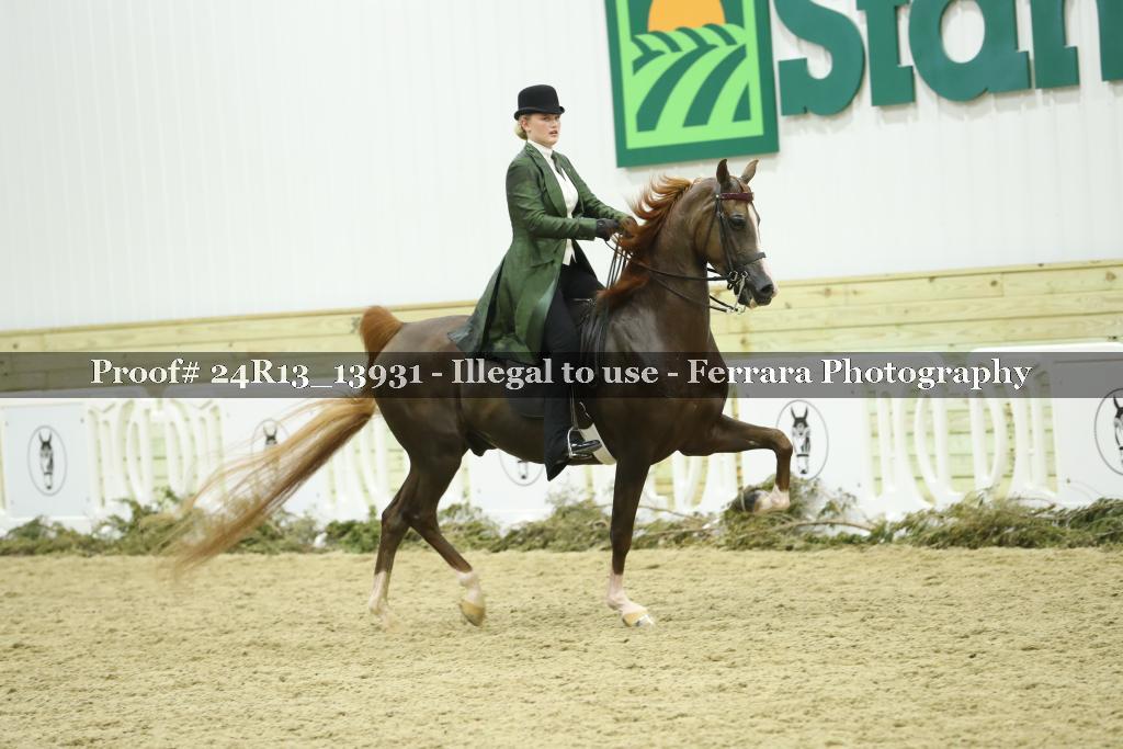 Proof Number 24R13_13931