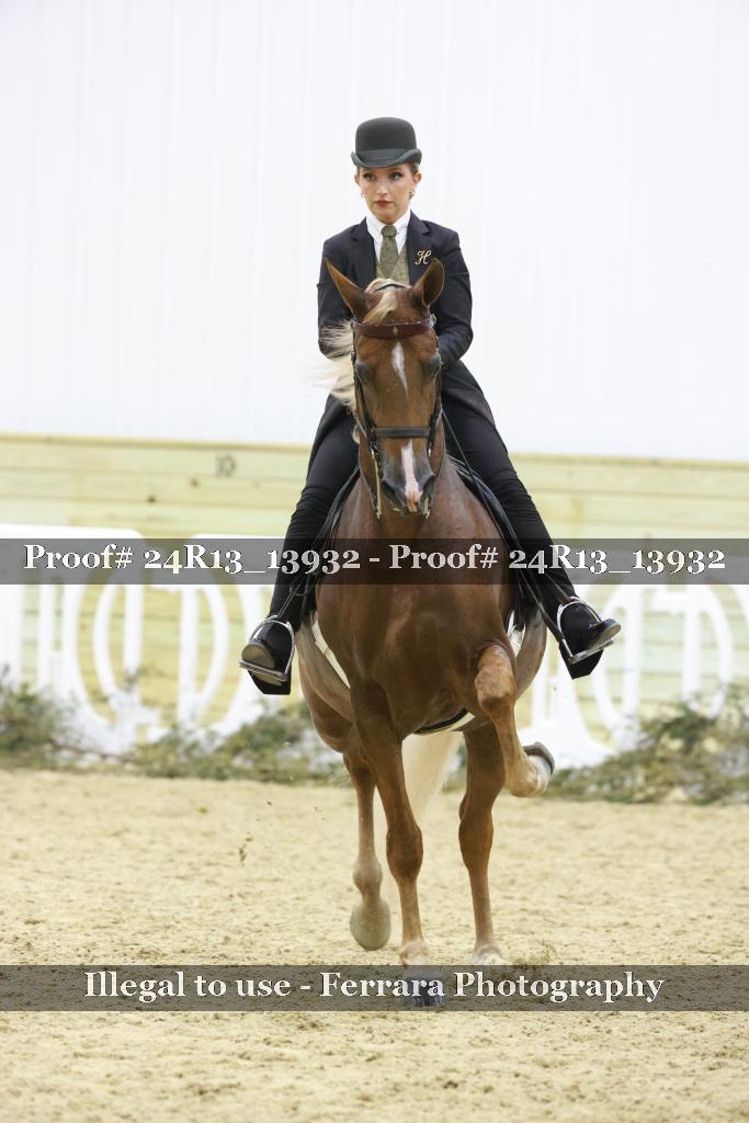 Proof Number 24R13_13932