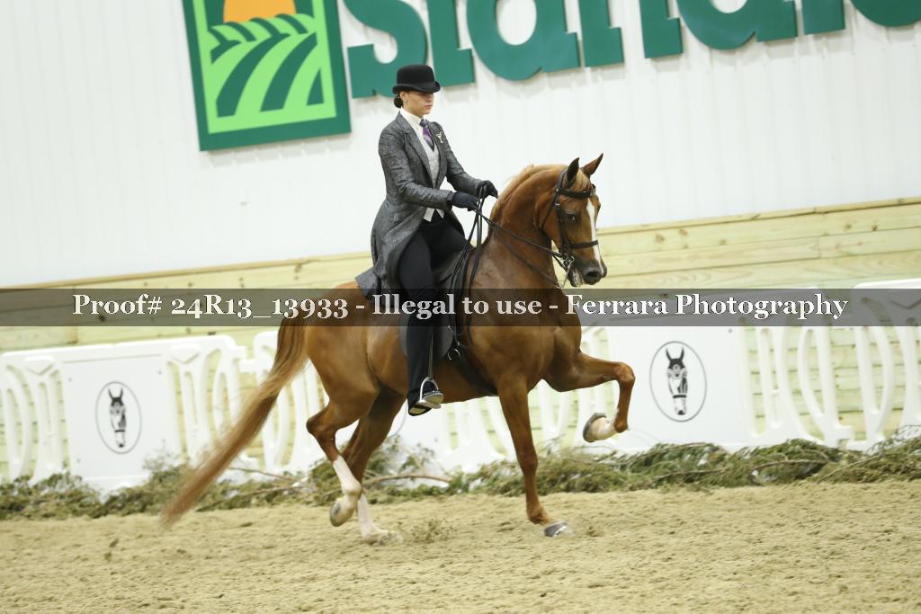 Proof Number 24R13_13933