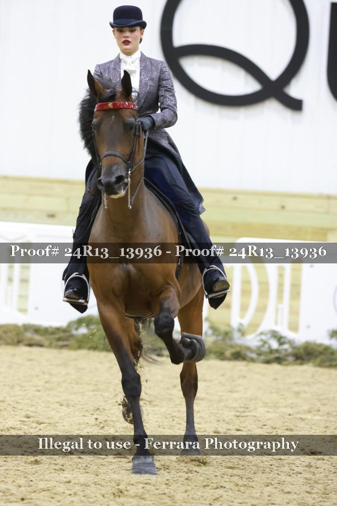 Proof Number 24R13_13936