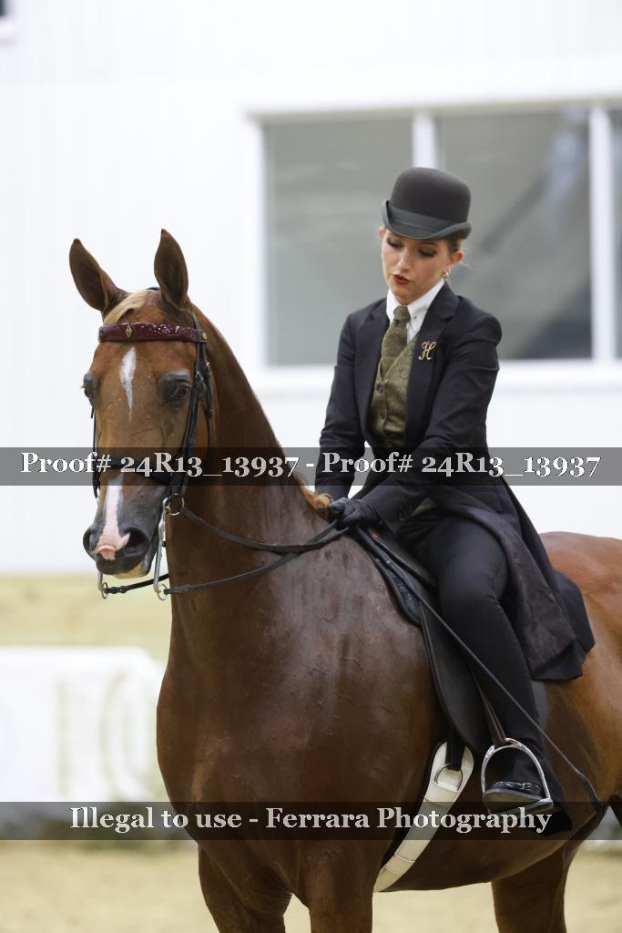 Proof Number 24R13_13937