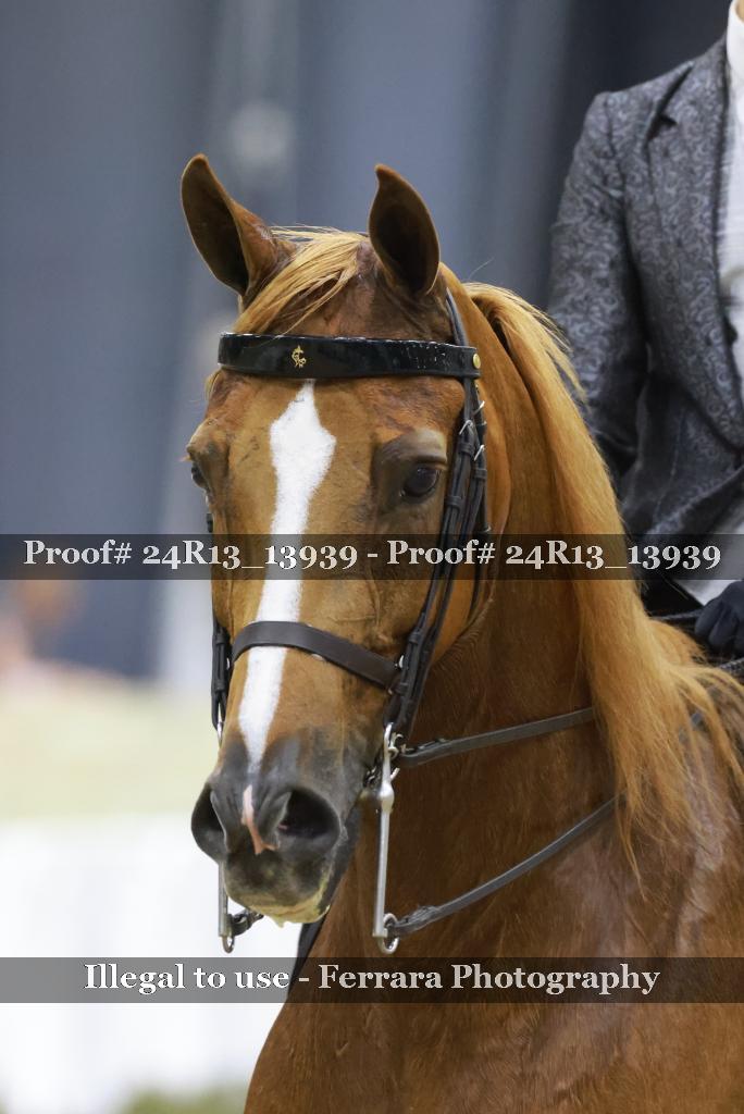 Proof Number 24R13_13939