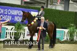 24R13_13942 thumbnail