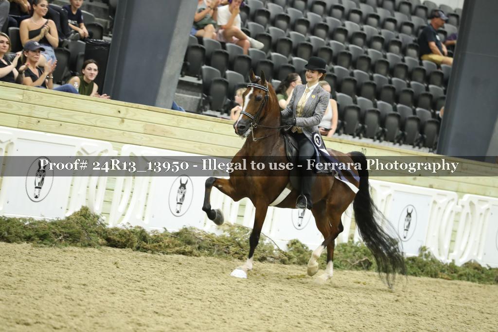 Proof Number 24R13_13950
