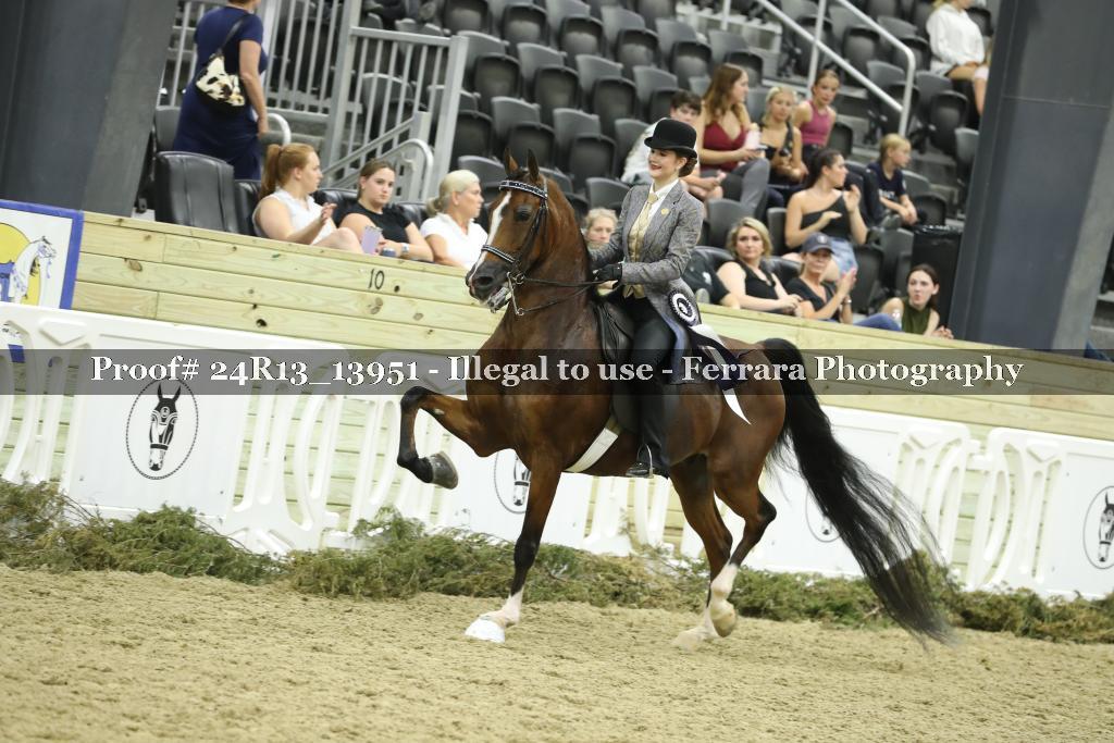 Proof Number 24R13_13951