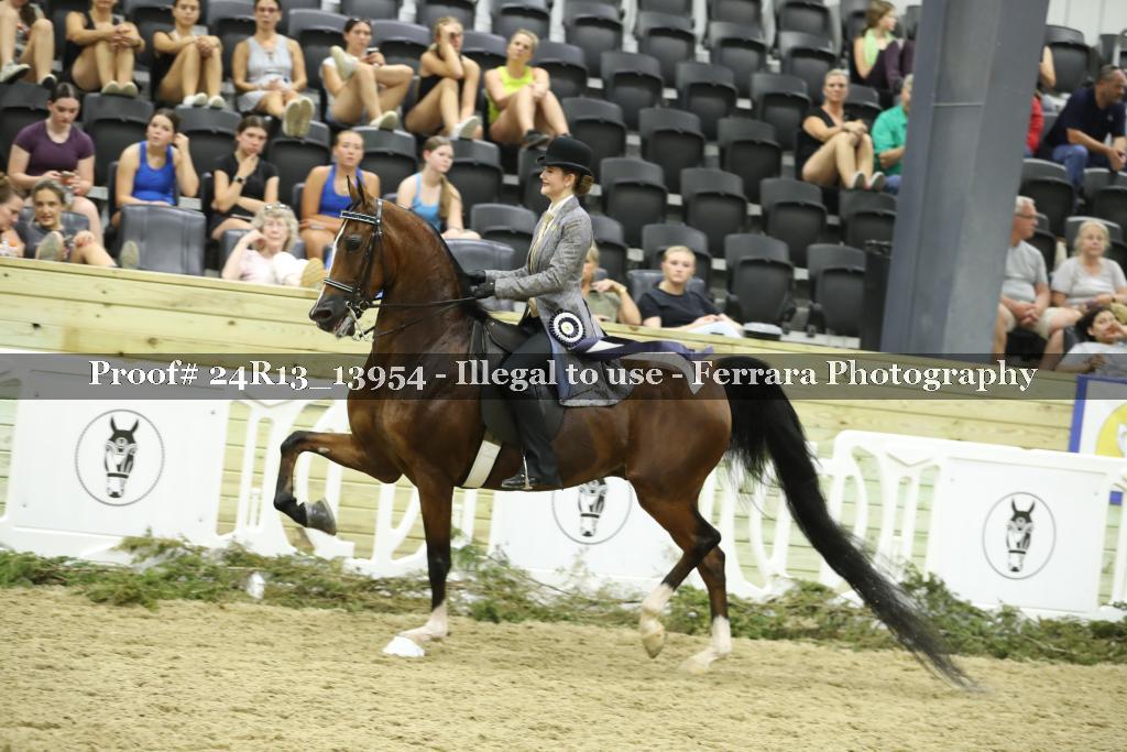 Proof Number 24R13_13954