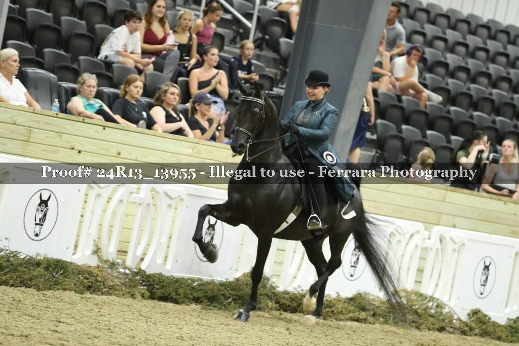 Proof Number 24R13_13955
